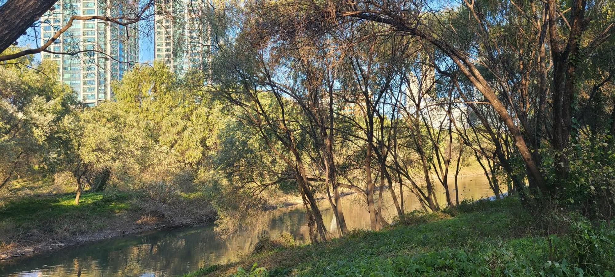 Yeouido Stay Σεούλ Εξωτερικό φωτογραφία
